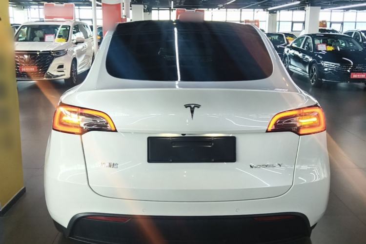 Used Tesla Model Y 2021 Long-Range All-Wheel-Drive Version Rear