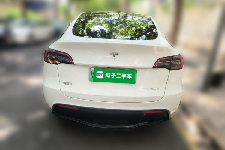 Used Tesla Model Y 2021 Standard Range Rear-Wheel Drive Version Rear