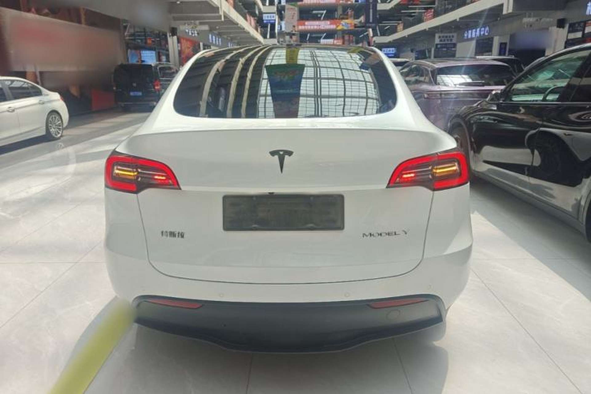 Used Tesla Model Y 2021 Standard Range Rear-Wheel Drive Version Rear