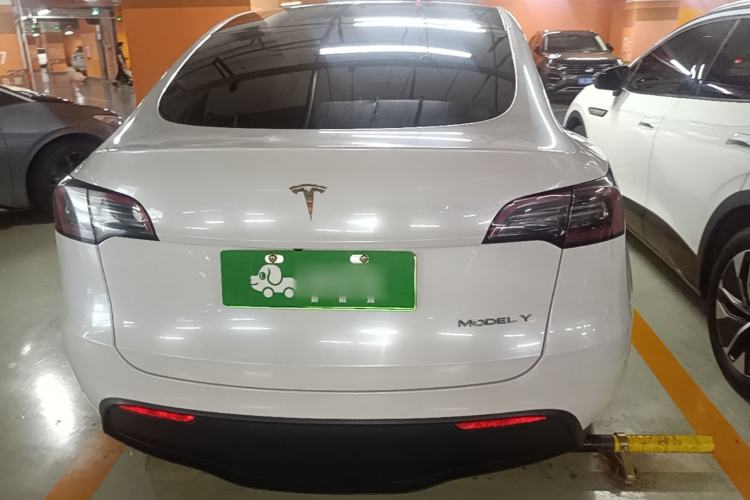 Used Tesla Model Y 2021 Standard Range Rear-Wheel Drive Version Rear