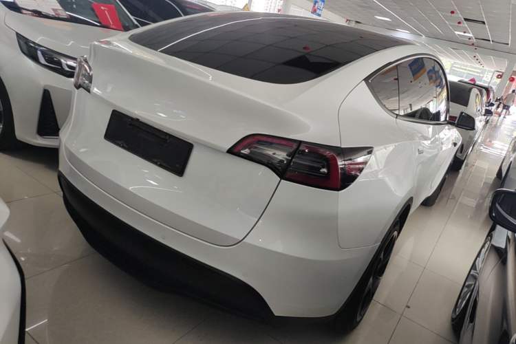 Used Tesla Model Y 2021 Standard Range Rear-Wheel Drive Version Rear Right 45 Deg