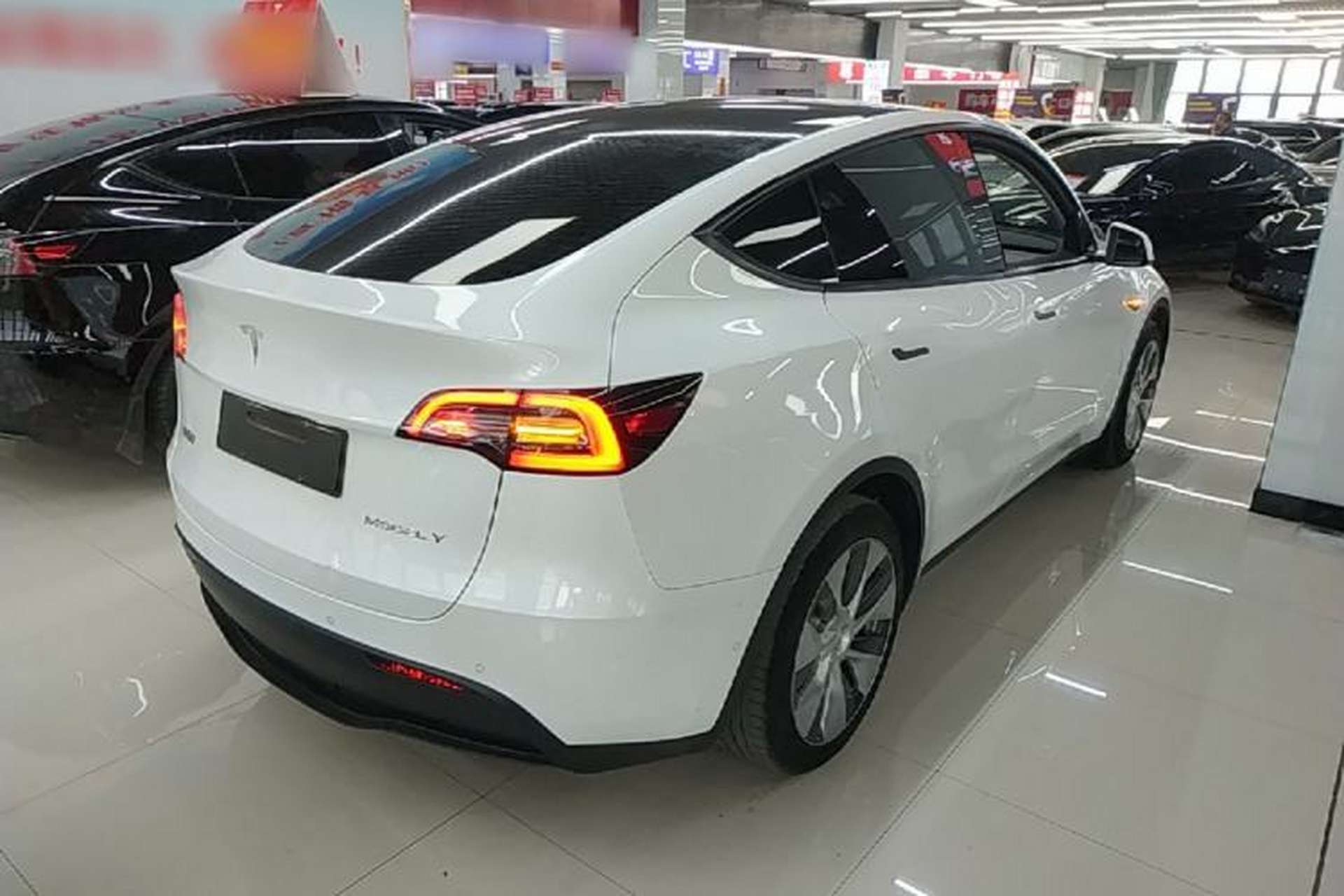 Used Tesla Model Y 2021 Standard Range Rear-Wheel Drive Version Rear Right 45 Deg