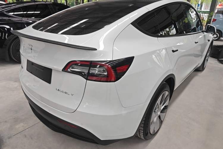 Used Tesla Model Y 2021 Standard Range Rear-Wheel Drive Version Rear Right 45 Deg