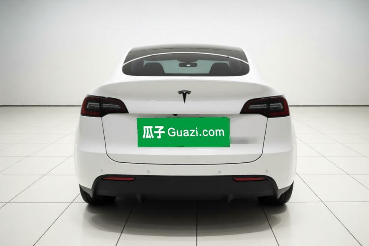 Used Tesla Model Y 2021 Standard Range Rear-Wheel Drive Version Rear