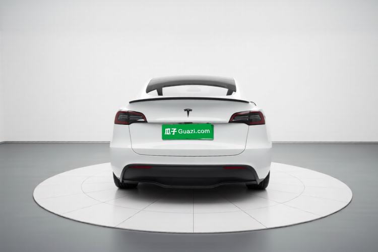 Used Tesla Model Y 2021 Standard Range Rear-Wheel Drive Version Rear