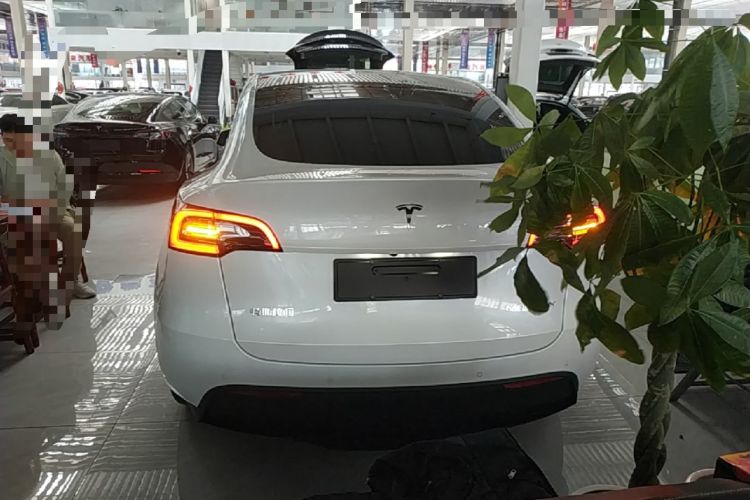 Used Tesla Model Y 2021 Long-Range All-Wheel-Drive Version Rear