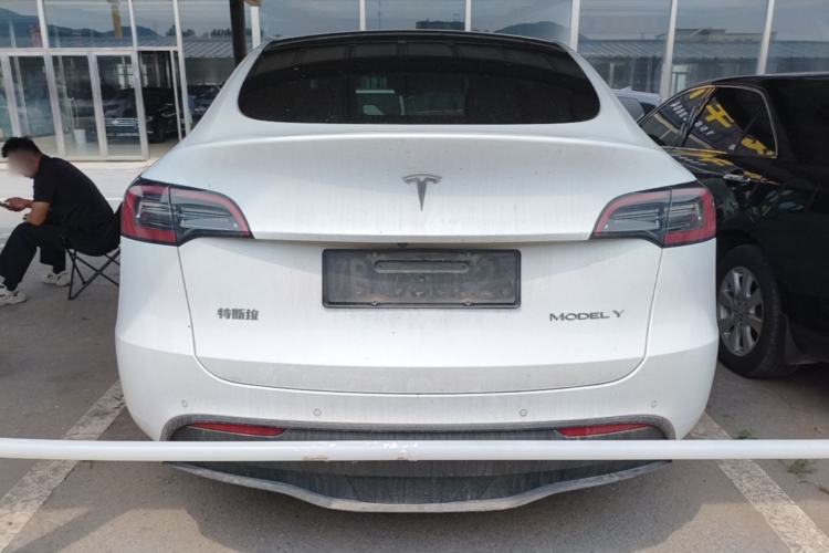 Used Tesla Model Y 2021 Standard Range Rear-Wheel Drive Version Rear