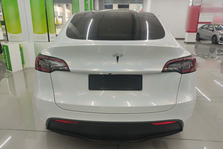 Used Tesla Model Y 2021 Standard Range Rear-Wheel Drive Version Rear