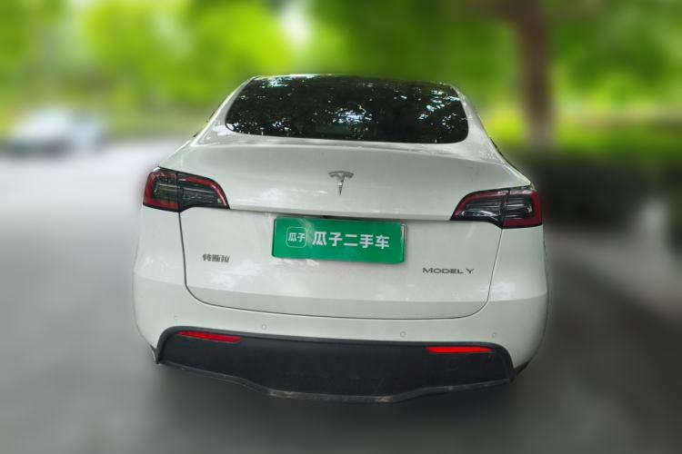 Used Tesla Model Y 2021 Standard Range Rear-Wheel Drive Version Rear
