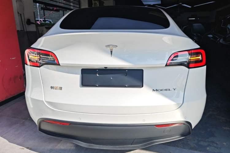 Used Tesla Model Y 2021 Standard Range Rear-Wheel Drive Version Rear