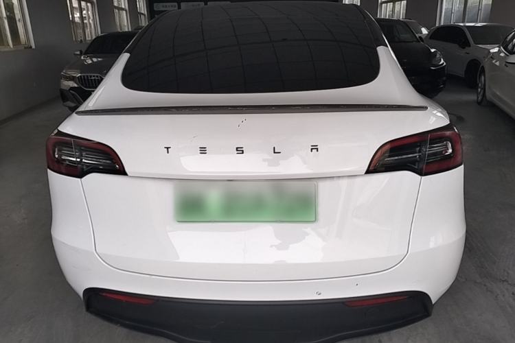 Used Tesla Model Y 2021 Standard Range Rear-Wheel Drive Version Rear