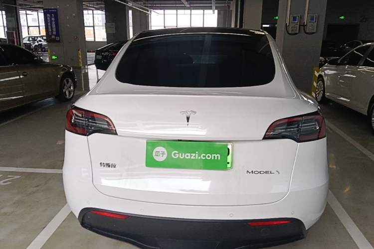 Used Tesla Model Y 2021 Standard Range Rear-Wheel Drive Version Rear