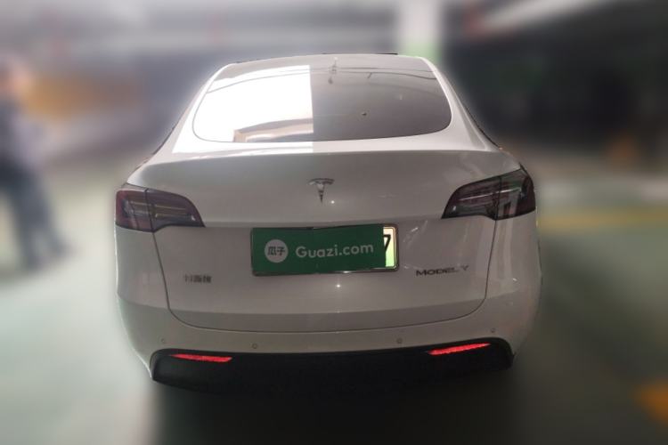 Used Tesla Model Y 2021 Standard Range Rear-Wheel Drive Version Rear