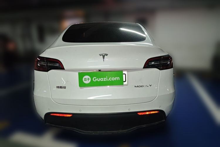 Used Tesla Model Y 2021 Standard Range Rear-Wheel Drive Version Rear