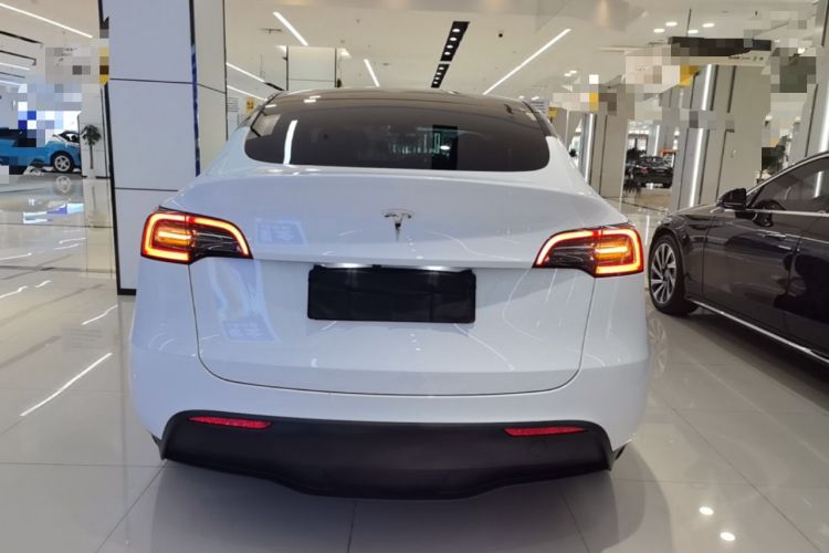 Used Tesla Model Y 2021 Standard Range Rear-Wheel Drive Version Rear