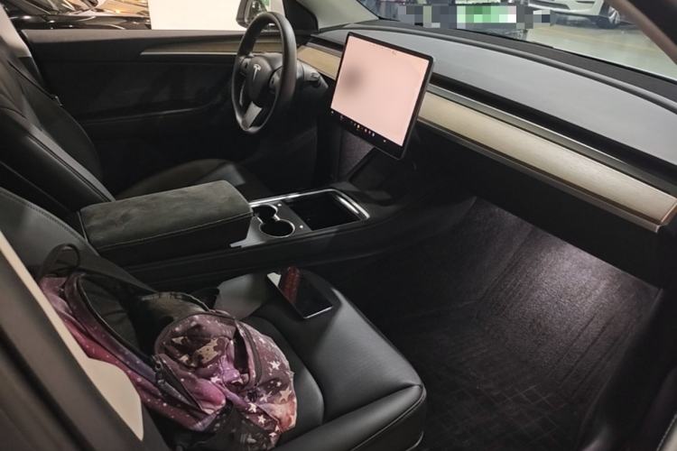 Used Tesla Model Y 2021 Revised Version 2 Long-Range All-Wheel-Drive Edition Right Front Seat