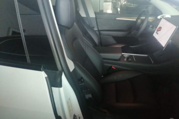 Used Tesla Model Y 2021 Long-Range All-Wheel-Drive Version 3D7 Right Front Seat