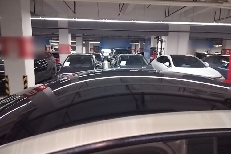 Used Tesla Model Y 2021 Standard Range Rear-Wheel Drive Version Roof