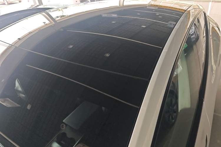 Used Tesla Model Y 2021 Standard Range Rear-Wheel Drive Version Roof