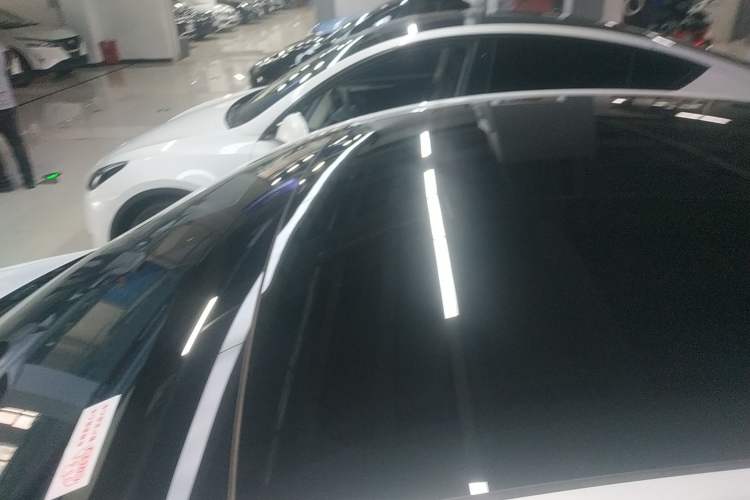 Used Tesla Model Y 2021 Long-Range All-Wheel-Drive Version Roof