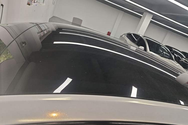 Used Tesla Model Y 2021 Performance High-Performance All-Wheel-Drive Version Roof