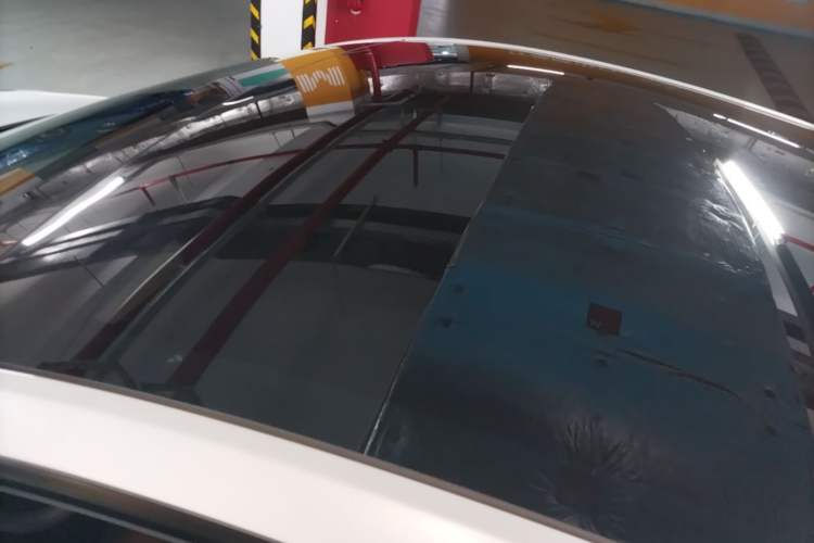 Used Tesla Model Y 2021 Standard Range Rear-Wheel Drive Version Roof