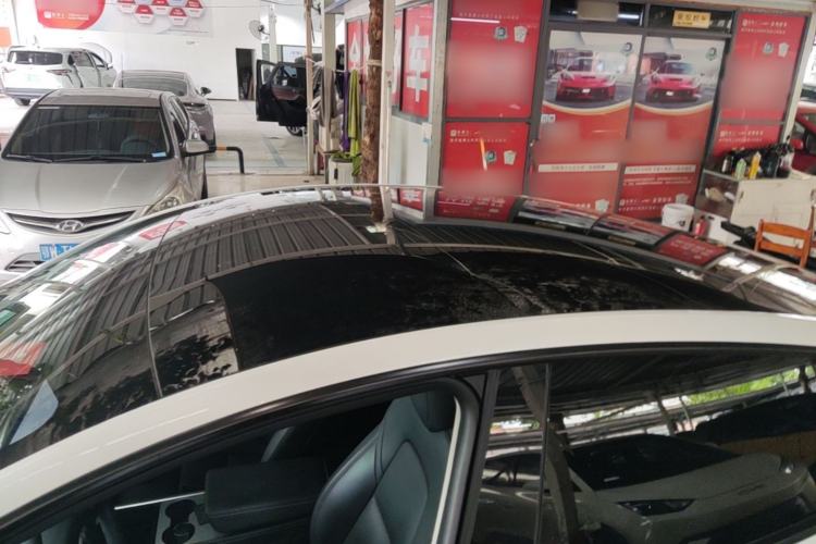 Used Tesla Model Y 2021 Standard Range Rear-Wheel Drive Version Roof