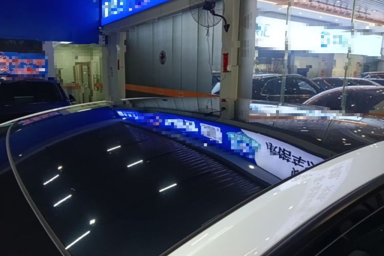Used Tesla Model Y 2021 Standard Range Rear-Wheel Drive Version Roof