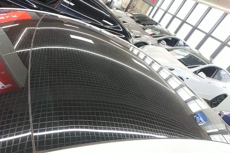 Used Tesla Model Y 2021 Standard Range Rear-Wheel Drive Version Roof