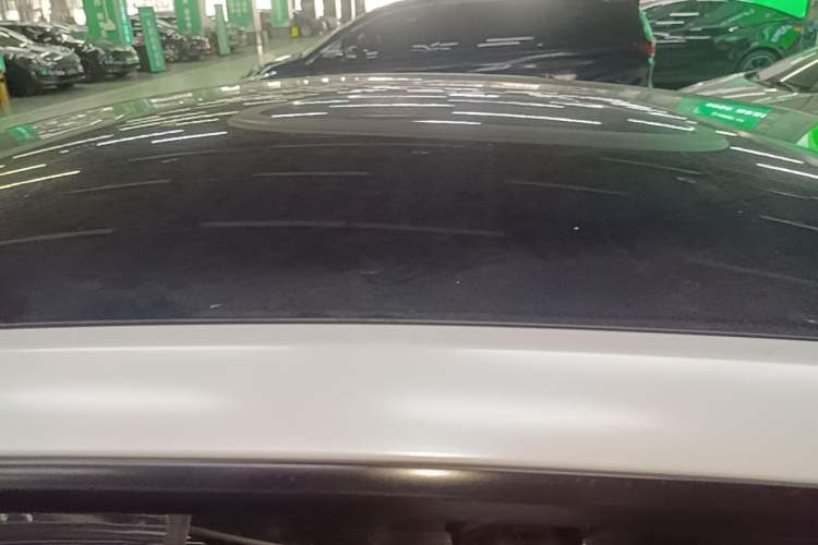 Used Tesla Model Y 2021 Standard Range Rear-Wheel Drive Version Roof