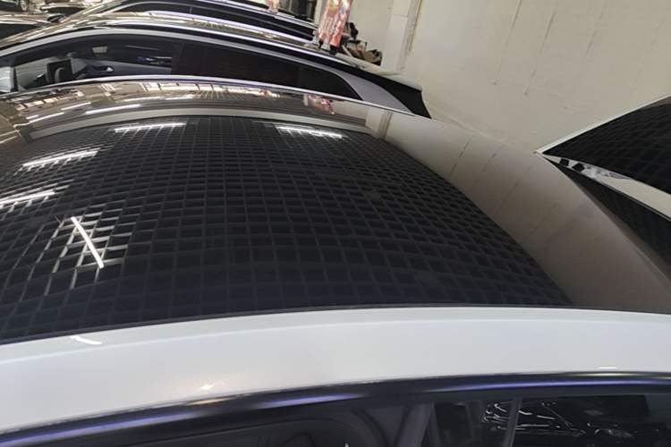 Used Tesla Model Y 2021 Standard Range Rear-Wheel Drive Version Roof