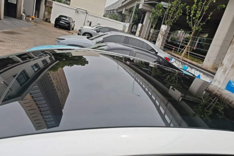 Used Tesla Model Y 2021 Standard Range Rear-Wheel Drive Version Roof