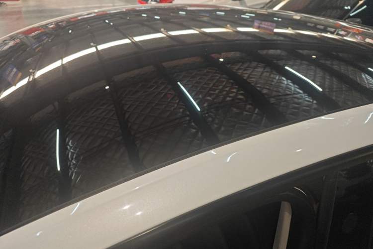 Used Tesla Model Y 2021 Standard Range Rear-Wheel Drive Version Roof
