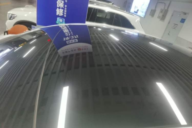 Used Tesla Model Y 2021 Long-Range All-Wheel-Drive Version Roof