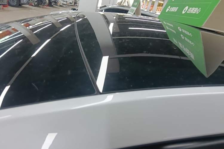 Used Tesla Model Y 2021 Standard Range Rear-Wheel Drive Version Roof