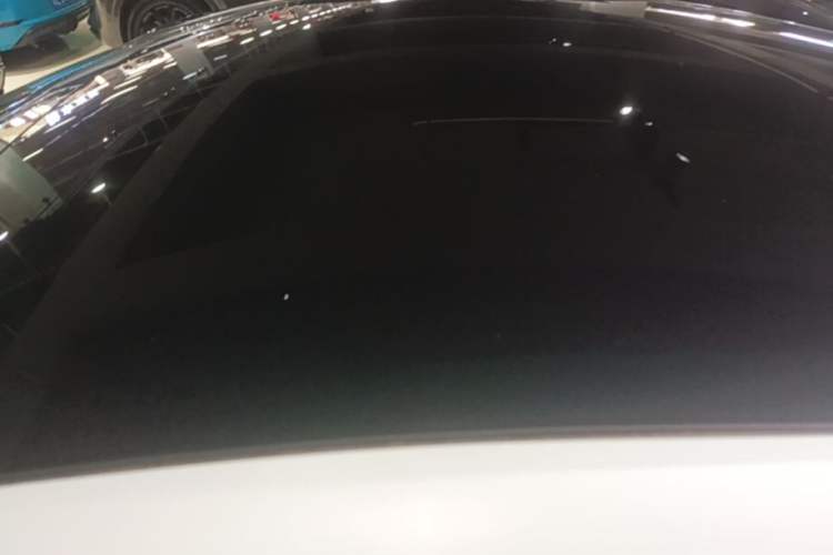 Used Tesla Model Y 2021 Standard Range Rear-Wheel Drive Version Roof