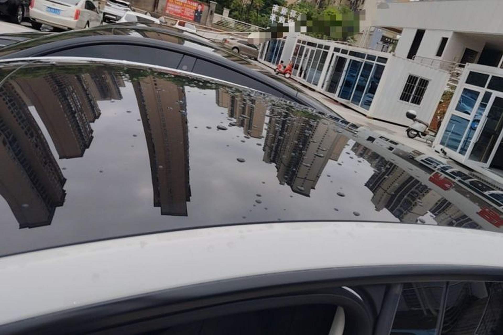 Used Tesla Model Y 2021 Standard Range Rear-Wheel Drive Version Roof