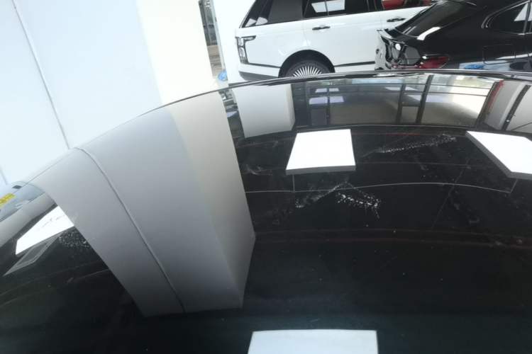 Used Tesla Model Y 2021 Standard Range Rear-Wheel Drive Version Roof