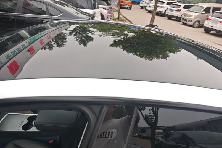 Used Tesla Model Y 2021 Long-Range All-Wheel-Drive Version Roof