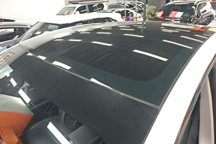 Used Tesla Model Y 2021 Standard Range Rear-Wheel Drive Version Roof
