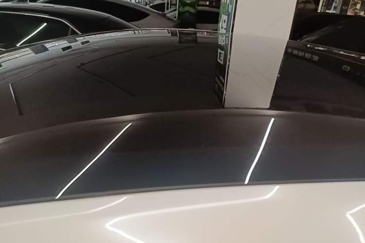 Used Tesla Model Y 2021 Performance High-Performance All-Wheel-Drive Version Roof
