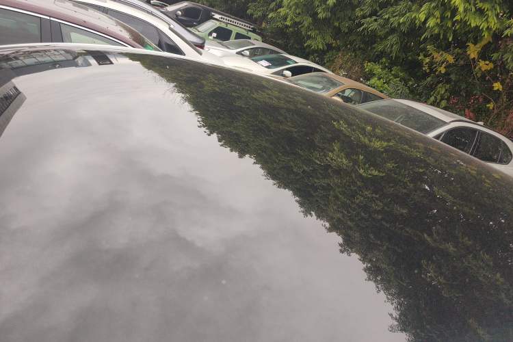 Used Tesla Model Y 2021 Long-Range All-Wheel-Drive Version Roof