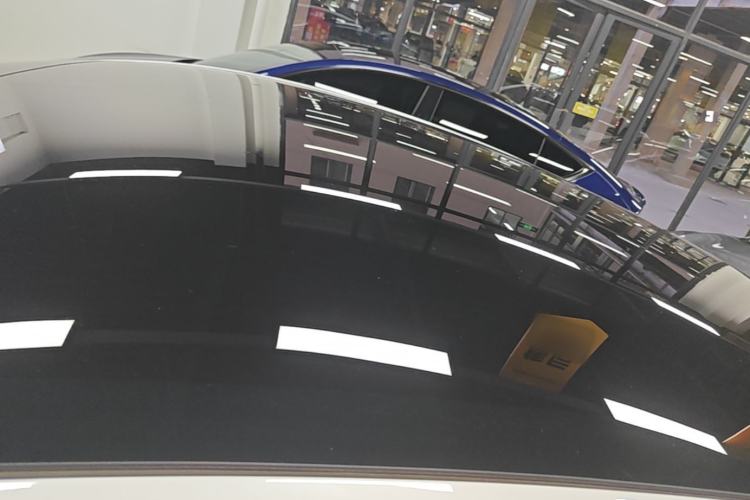 Used Tesla Model Y 2021 Standard Range Rear-Wheel Drive Version Roof