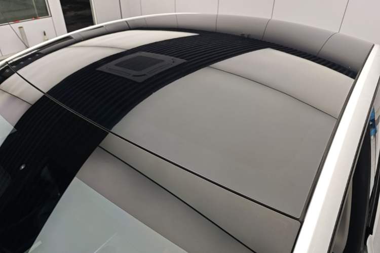 Used Tesla Model Y 2021 Standard Range Rear-Wheel Drive Version Roof