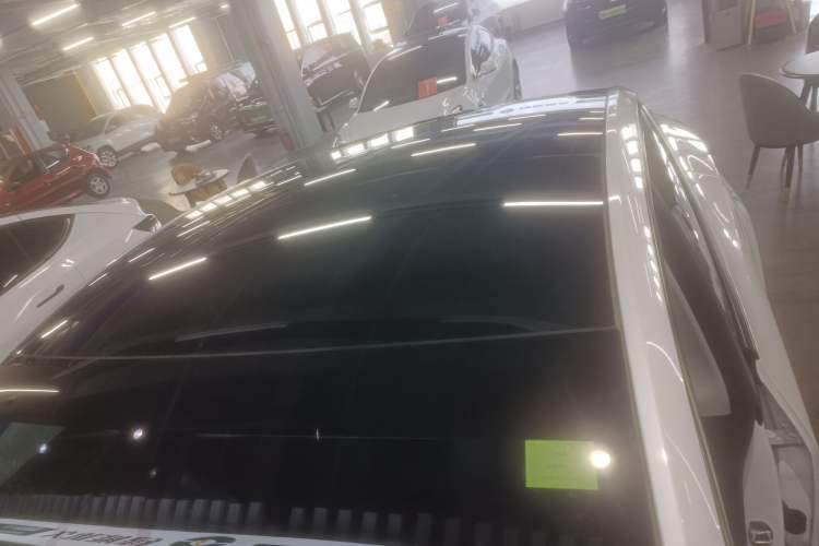 Used Tesla Model Y 2021 Standard Range Rear-Wheel Drive Version Roof