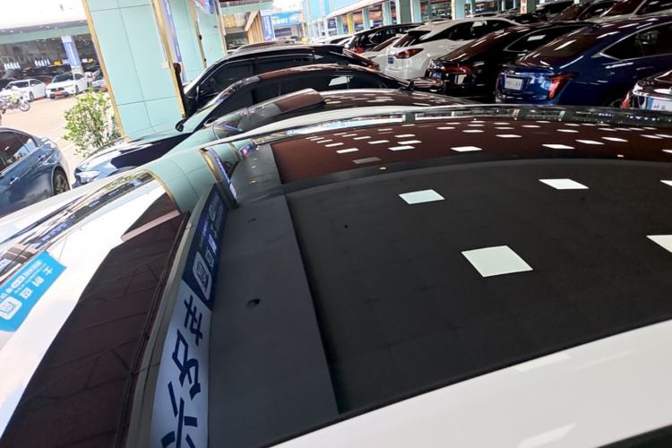 Used Tesla Model Y 2021 Standard Range Rear-Wheel Drive Version Roof