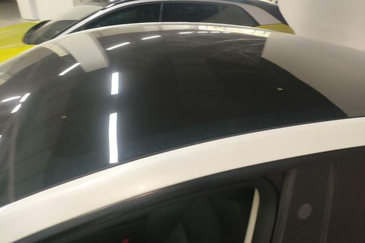 Used Tesla Model Y 2021 Standard Range Rear-Wheel Drive Version Roof