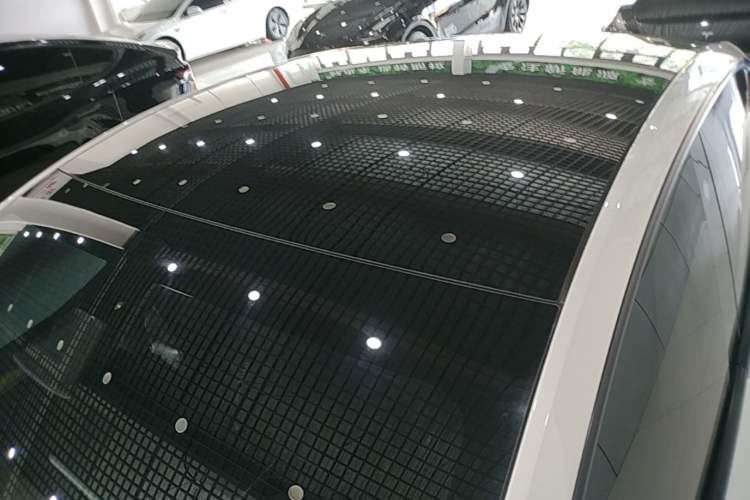 Used Tesla Model Y 2021 Standard Range Rear-Wheel Drive Version Roof