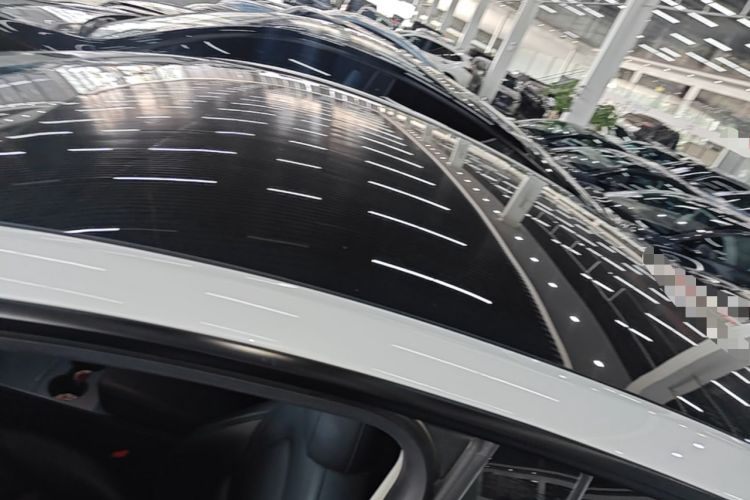 Used Tesla Model Y 2021 Long-Range All-Wheel-Drive Version Roof