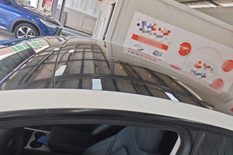 Used Tesla Model Y 2021 Standard Range Rear-Wheel Drive Version Roof
